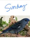IMG_5143.jpeg